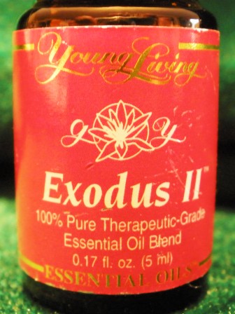 Fed.11.Exdus.web.JPG