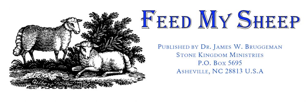 Feed My Sheep Logo Feed My Sheep by Dr. James Bruggeman