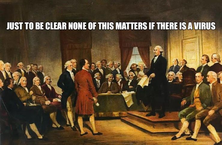 pandemic vs constitution.jpg