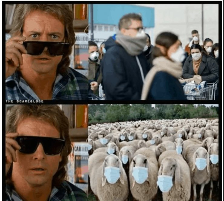 covid-19-lockdown-mask-sheeple.png