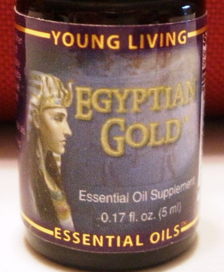 Egyptian Gold.1.jpg
